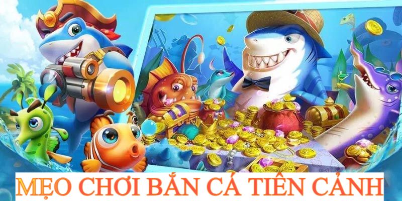 Mẹo bắn cá tiên cảnh siêu chuẩn từ các chuyên gia